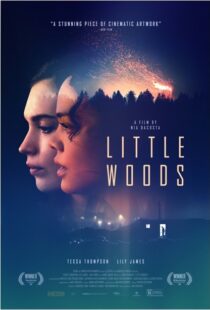 دانلود فیلم Little Woods 201822292-781324425