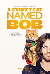 دانلود فیلم A Street Cat Named Bob 201641621-2024756543