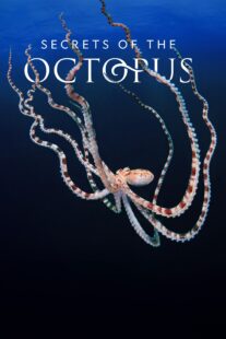 دانلود سریال Secrets of the Octopus401286-1812829641