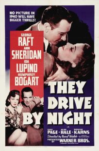 دانلود فیلم They Drive by Night 1940411221-1773291072