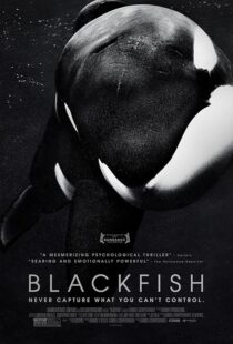 دانلود فیلم Blackfish 2013412328-1658249945